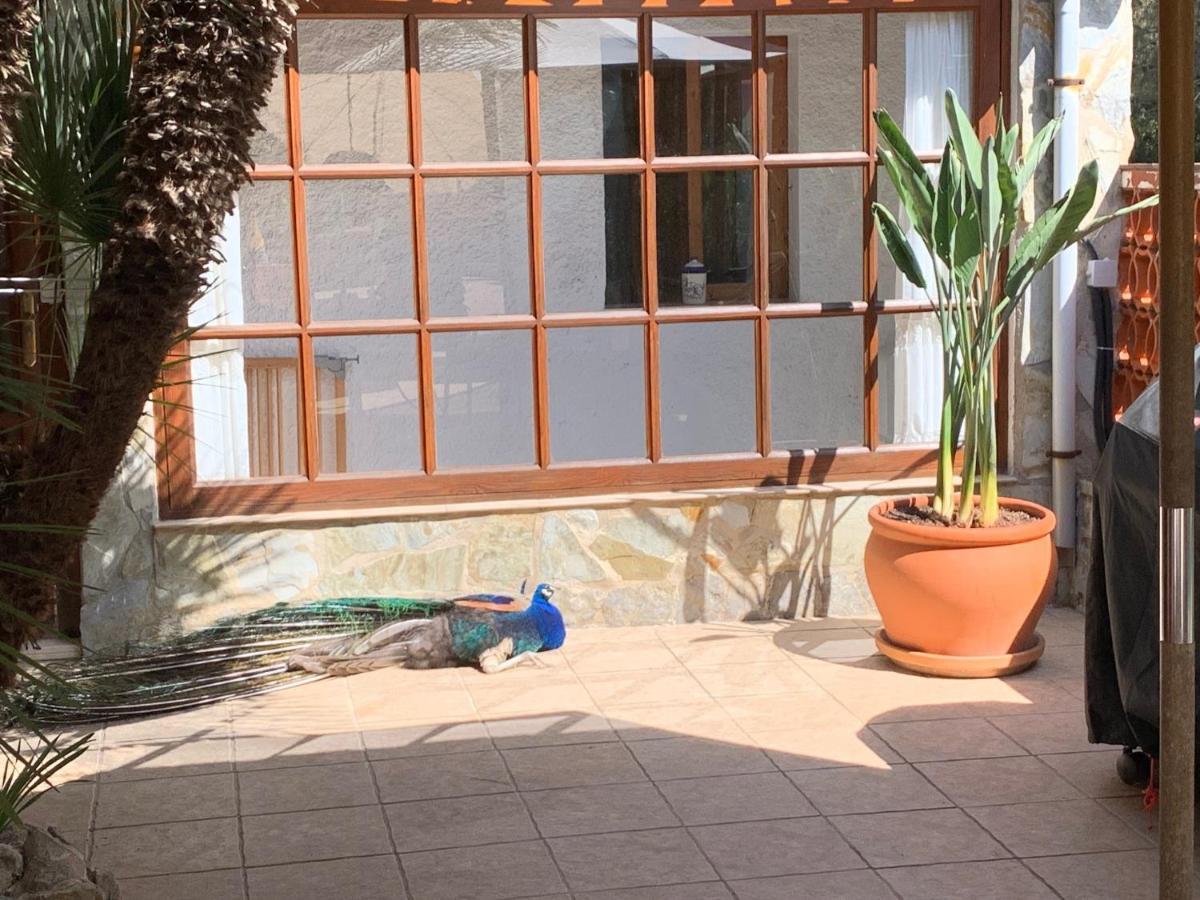 Casa Lisboa Villa Cala Mesquida  Eksteriør billede
